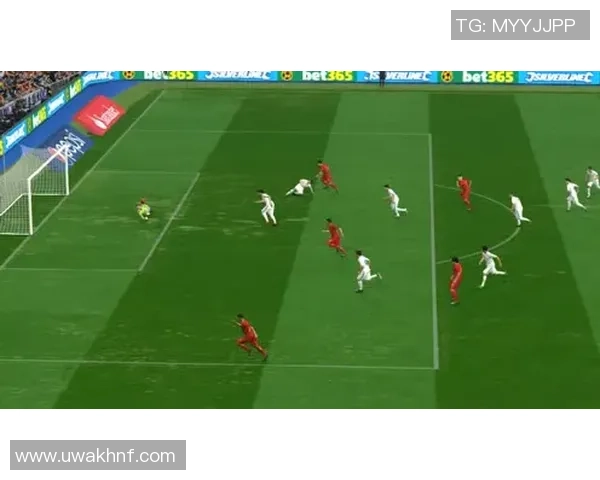 足球菲罗：探索足球世界的激情与梦想，点燃每一个球迷的心灵火焰